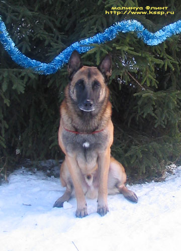 20080101Flint01