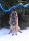 20080101Flint01