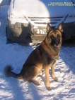 20080103Flint02