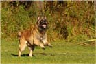 20081009Flint02