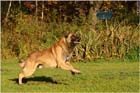 20081009Flint10