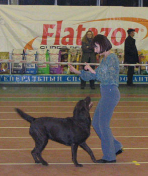   -2005