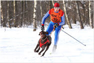 Чемпионат России по скиджорингу 21-22.02.2009