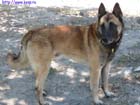 otpusk090845
