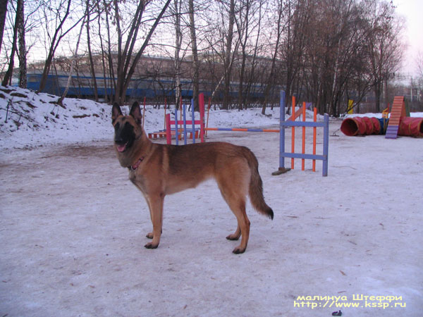 071122Shteffi06
